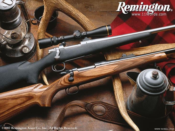  Broń - remington_22.jpg