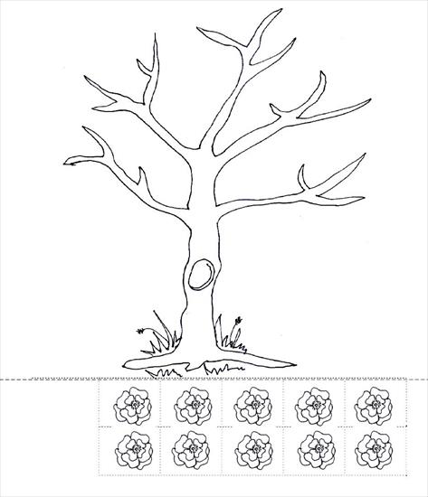 edukacja przyrodnicza drzewa - drzewo1.JPG