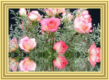 kwiaty w wodzie - reflet004.gif